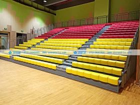 廣東省深圳市——文天祥小學(xué)體育館 廣東省深圳市——文天祥小學(xué)體育館